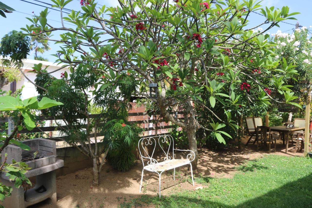 Appartement Le Colibri Et Le Frangipanier à Trinité  Extérieur photo