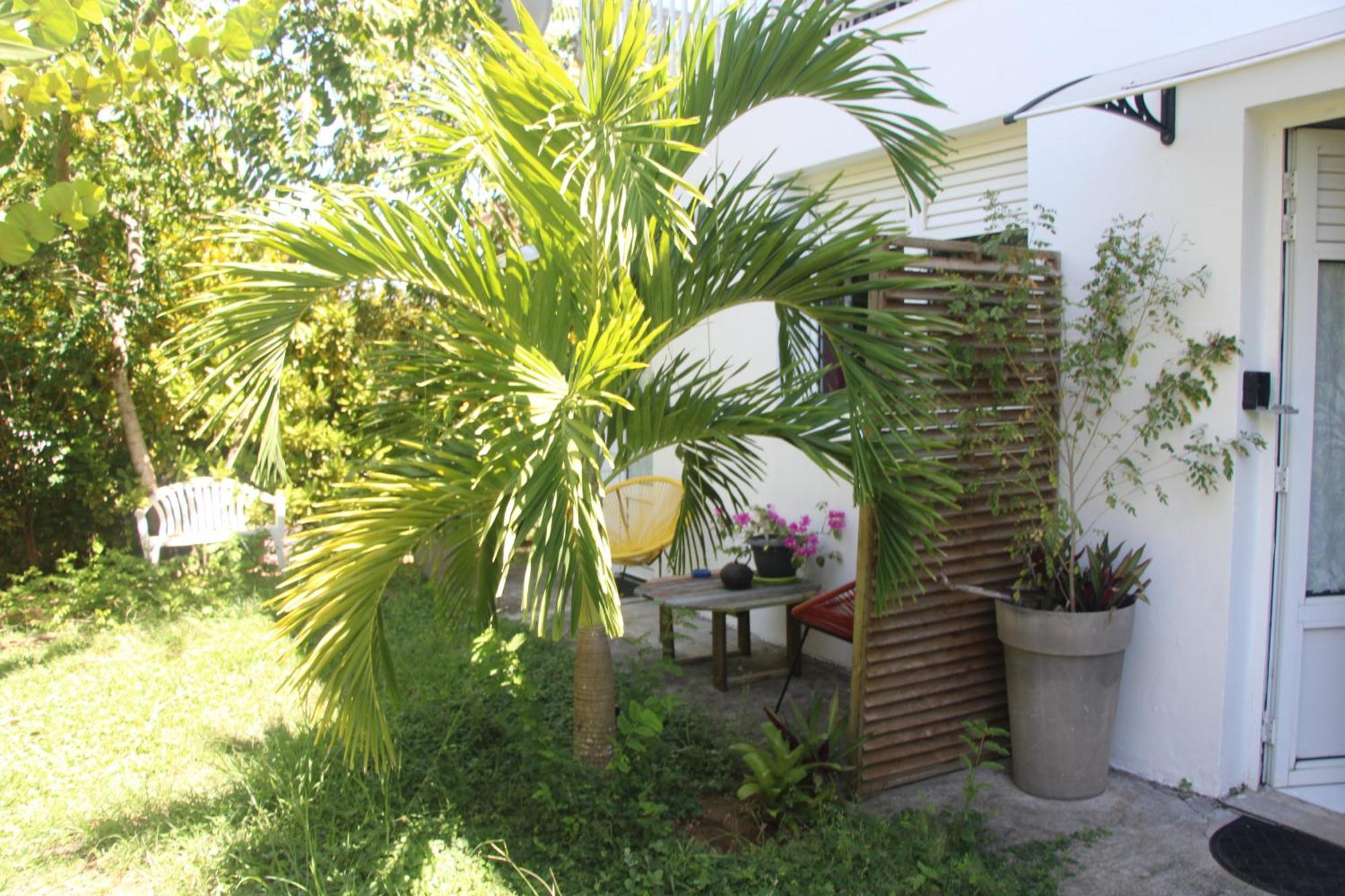 Appartement Le Colibri Et Le Frangipanier à Trinité  Extérieur photo